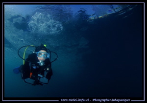 Diving our cold waters... ;O)... by Michel Lonfat 